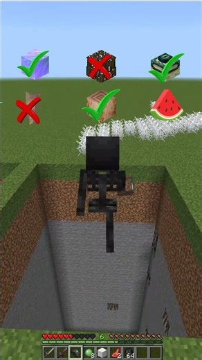 which Minecraft block fell can wither skeleton survive?🤯 #gujaratistatus
