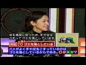 マジカル頭脳パワー 1997年12月4日