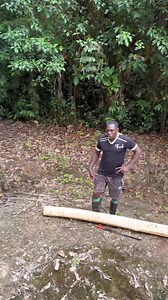 973K views · 27K reactions | Cuándo va saliendo del monte y te molestan Mira la reacción de Mi Hijo Porky ? | Mi sangree | Facebook