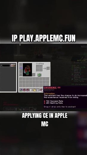 applying custom enchant in apple mc #minecraft ‪@playapplemc_‬ #gaming