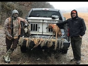 Squirrel Hunting with Awesome dogs!!!