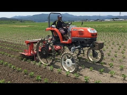 Unbelievable JAPANESE POWER! China's Unique Tech Exposed: How it Works