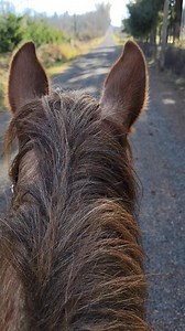 Denise Phillips on Reels