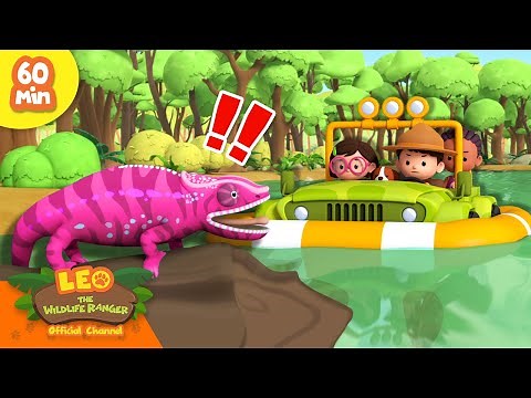 SAVE THE COLOUR-CHANGING CHAMELEON! 😱 | Exotic Reptiles! | Leo the Wildlife Ranger | Kids Cartoons