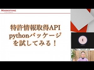 特許情報取得API pythonパッケージを試してみる！