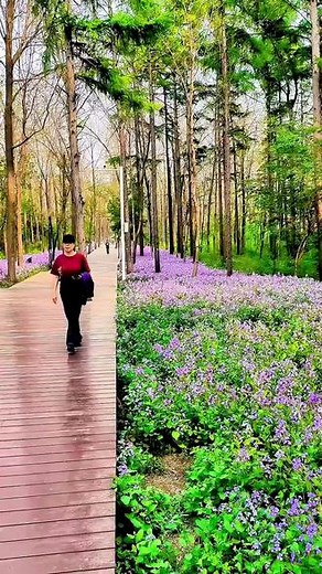 东北林业大学，植物种植实验基地，一路繁花相伴，鸟语花香，是放松心情，学术交流的好地方#抖音带你去赏花 #大学#抖音校园live #旅行推荐官 #在抖音实现鲜花自由