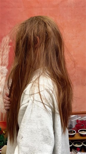 Combs and Brushes for Perfect Hair Care