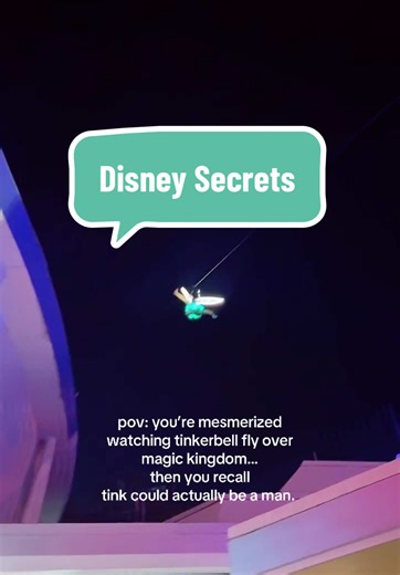 Discover Disney Secrets: Tinkerbell's Magical Mystery