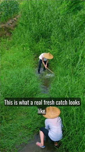 Fresh Grey Fish Catch and Delicious River Cooking! 🌊🐟