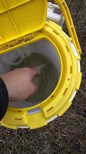 are my minnows alive? #fishing #minnow #letemfly