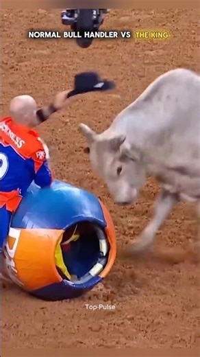 Normal bull handler vs the king 🐂👑