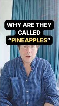 Why "Pineapples"?