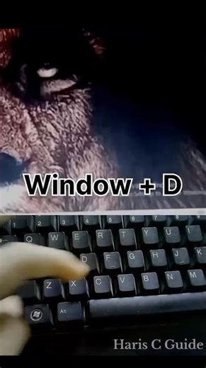 shortcut key for minimize and maximize windows