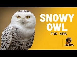 Snowy Owl for Kids | Amazing Fun Facts and Information | Learn with Marko