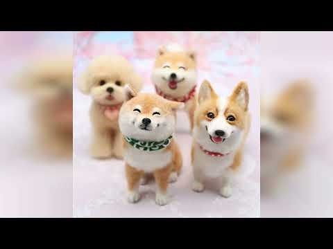 Review: BKDRL Dogs Needle Felt Needle Felting Kit Wool Felting Kit for Beginners Includes All ...