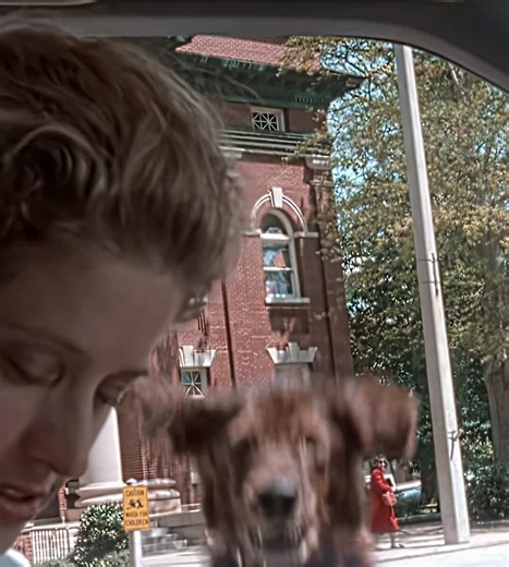 Movie calipa (@movie.calipa)’s videos with original sound - Movie calipa