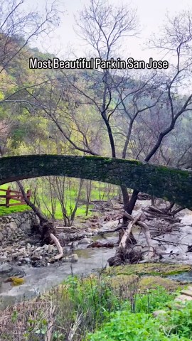 Anjali 🧚🏼‍♀️ | California | SF Bay Area | Travel & Lifestyle | 📍Alum Rock Park , San Jose Trail name: Mineral Spring Loop Level: Easy trail mostly flat The entrance to the park is on Penitencia Creek... | Instagram