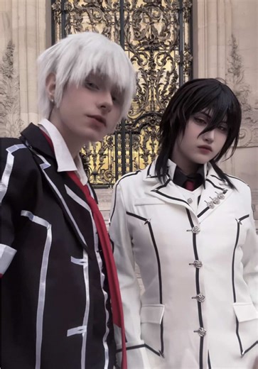 Twilight vs Vampire Knight: A Deep Dive