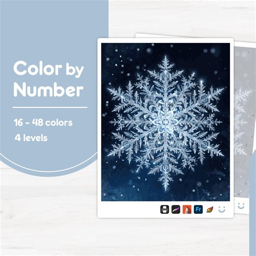 Detailed Snowflake Close-up - Color by Number - Digital & Printable - 4 Levels - Etsy