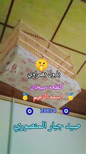 12K views · 393 reactions | 狼狼狼狼狼狼狼狼狼狼狼狼狼狼狼狼 | يوميات جبار دويب المنصوري | Facebook