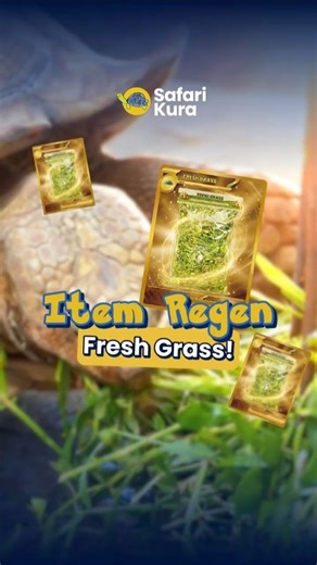 Kura-Kura Sering Sakit Perut? Ini Solusi Pakan Higienisnya! ✨