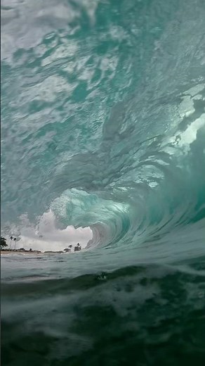 Inside Sandy Beach in the morning 🌊🤙 #bodyboarding #waves #surf #hawaii