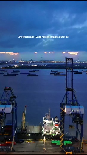 Menggali Dunia Transportasi: Shipping dan Logistik