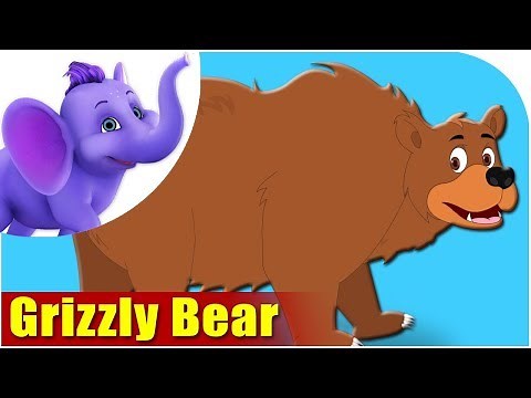 Animal Songs for kids | Grizzly Bear Song