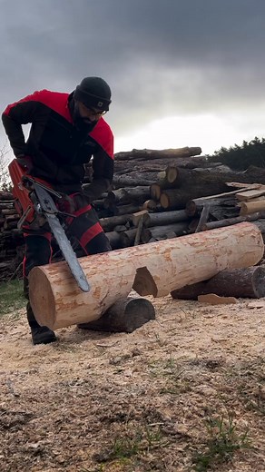 Saddle saws with the husqvarna_de #woodworking #treeremoval #logging #forestry #treeworker #wood #treecutting #treefelling #tree #treeclimber #treecare #chainsawman #chainsaw #lumberjack #treesurgeon #chainsaws #stihlchainsaw #stihl #treeclimbing #husqvarna #treelife | Trees Work