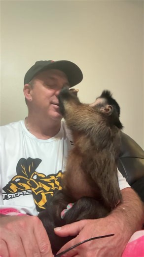 Monkey Fun! 🐵 | MonkeyBoo