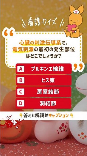 Q.心臓の刺激伝導系で、電気刺激の最初の発生部位はどこでしょうか？