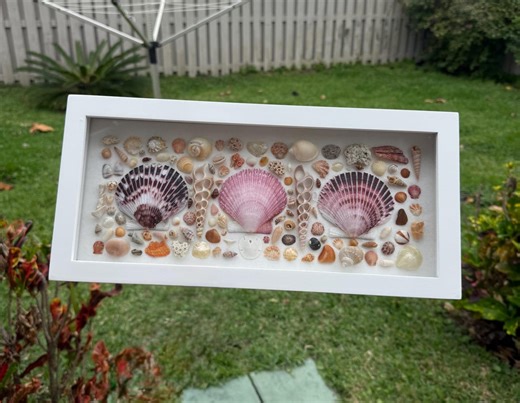 Shell Shadow Box - Etsy