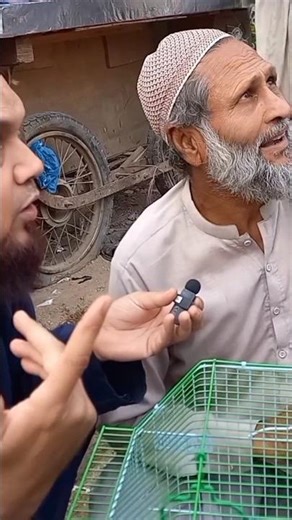 sale and buy birds #shorts #short #viral #trending #birds