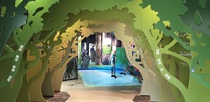Karawatha Forest Discovery Centre: Nature's best playground!