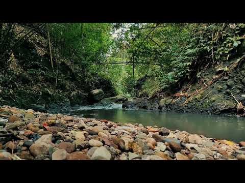 Mountain Stream Nature Sounds – 3 Hours Non-Stop for Deep Relaxation & Sleep
