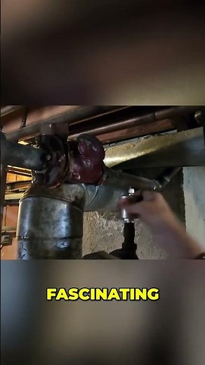 Plumber's Secret: Watch This Check Valve Hold Back Water! #shorts