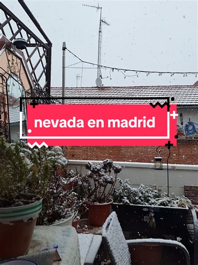 Vienes a cerrar un ciclo en Madrid y te recibe con una nevada. Hay finales felices #nieveenmadrid #españa🇪🇸