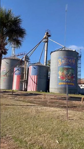 Rural Shellman Georgia predominantly black ￼#explore #rural #adventure #travel #country