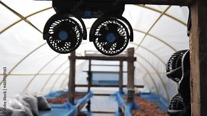 Fans in solar dryer greenhouse. A thermal control system for ventilation and temperature in coffee bean and cocoa seed drying process.
