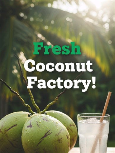 Fresh coconut juice straight from the factory! 🥥✨ #Refreshing #healthydrink #CoconutJuice #JuiceFactory#foodtok