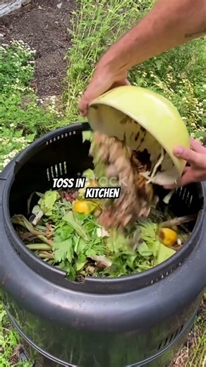 How To Make Odourless Dry Compost From Kitchen Scraps | Seedly 🌱 #composting