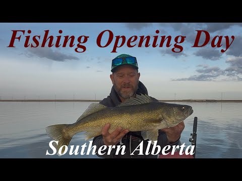 Fishing Opening Day - Southern Alberta