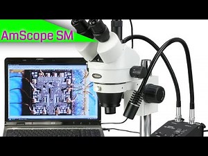 AmScope SM-1TSW2-L6W-10M Digital Professional Trinocular Stereo Zoom Microscope REVIEW