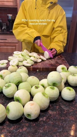 Saving Horse Seeds: A Rescue's Perspective