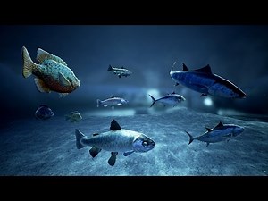 Fish Obstacle Avoidance