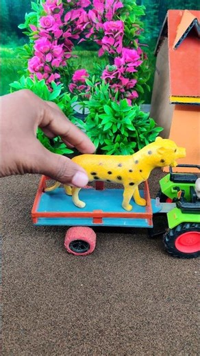 Diy Water Farm tiger 🐯 project #shorts #animals