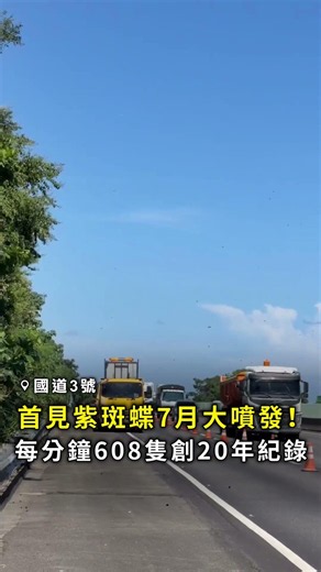 【創20年紀錄】首見紫斑蝶7月大噴發！ 每分鐘608隻...飛越國3北返 #Shorts