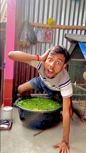 মাছ ধরতে কি হলো 😱 #fish #fishing #aquarium #fishtank #comedy #funny #youtube #tiktok #reels #fun