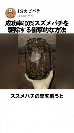 成功率100%スズメバチを駆除する衝撃的な方法