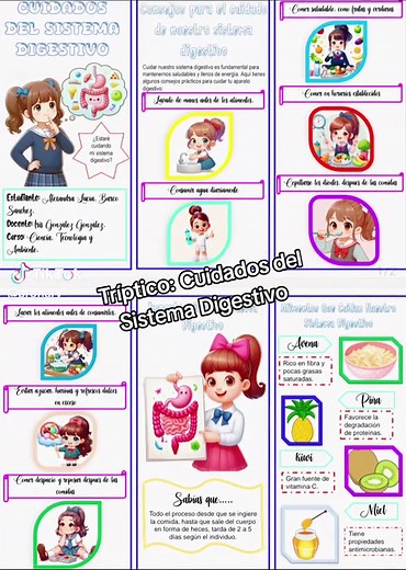 Cuidados del Sistema Digestivo en un Tríptico Digital